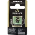 Rembrandt Watercolour Pan Interference Green 848