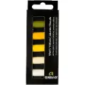 Rembrandt Soft pastel set Warm Yellows | 5 half pastels