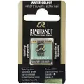 Rembrandt Watercolour Pan Spark Green 864