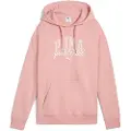 Puma Class Relaxed Hettegenser