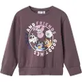 Name it Bluey Sweatshirt