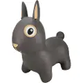 Find That Hippo Kanin