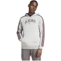 Adidas Codes Collegiate Graphic Hettegenser