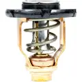 Sierra Yamaha Termostat 6ek-12411-00-00