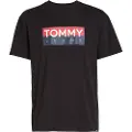 Tommy Hilfiger Reg Rwb Entry Kortarmet T-skjorte