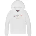 Tommy Hilfiger Multi Flag Regular Fit Hettegenser