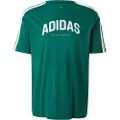 Adidas Codes Collegiate Linear Graphic Kortarmet T-skjorte