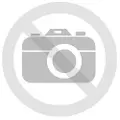 Ricoh Developer gul