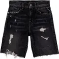 Replay Sb9544.050.843245 Korte Jeans