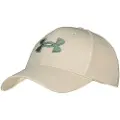 Under Armour Blitzing Cap