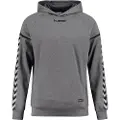 Hummel Authentic Charge Poly Hettegenser