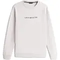 Tommy Hilfiger Original Collegegenser