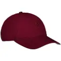Gant Tonal Shield Cap