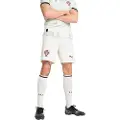 Puma Fpf Portugal Replica Shorts
