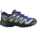 Salomon Xa Pro V8 Wp Tursko
