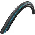 Schwalbe One Raceguard Performance 700c X 25 Racerdekk