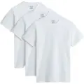 Vans Basic Kortarmet T-skjorte 3 Enheter