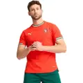 Puma Fpf Portugal Authentic 2025 Hjem Kortarmet T-skjorte