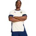 Puma Fpf Portugal Trening Kortarmet T-skjorte