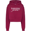 Tommy Hilfiger Dw0dw20306 Hettegenser