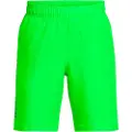 Under Armour Tech Woven Wordmark Shorts