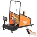 Vevor tredemølle for mellomstore hunder, vektkapasitet 90 kg, elektrisk løpemaskin for hunder med 3 justerbare ramper, innendørs tredemølle for kjæledyr med LCD-skjerm, hundetredemølle for trening
