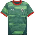 Puma Portugal Esports Jersey Men, Clothing, Blessing Green, L