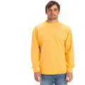 Quiksilver Salt Water Collegegenser