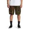 Dc-shoes Tundra Cargo Shorts
