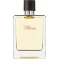Hermès Paris Terre D'Hermes EDT 100ml