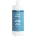 Wella Invigo Scalp Balance Oily Scalp Shampoo (B, 1000 ml)