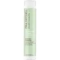 Paul Mitchell Clean Beauty Anti-Frizz Shampoo 250 ml