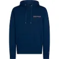 Tommy Hilfiger Color Photo Hettegenser