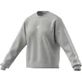 Adidas Essentials 3 Stripes Fleece Collegegenser