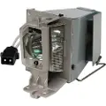 Microlamp - Projektorlampe (tilsvarer: NEC 100014091, NEC NP36LP) - 195 watt - 4500 time(r) - for NEC V302W, V302X
