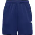 Adidas Tr-es All Set Shorts