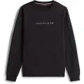 Tommy Hilfiger Original Collegegenser