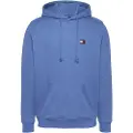 Tommy Hilfiger Badge Regular Fit Hettegenser