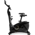 Zipro iConsole Rook Gold elektromagnetisk