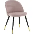 Venture Home Venture HomeStol Velvet Mässing 2-pkRosaStolerFra Homeroom