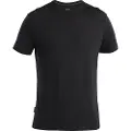 Icebreaker Merino 125 Cool-lite Sphere Iii Kortarmet T-skjorte