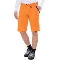 100% Celium Shorts