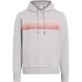 Calvin Klein Linear Logo Hettegenser