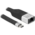 DeLOCK - Nettverksadapter - USB-C 3.2 Gen 1 - Gigabit Ethernet - svart, sølv