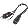 Speaka Professional SP-7869832 Phono / DIN-tilslutning Audio Y-adapter [1x DIN-bøsning 5-pol. - 2x Cinch-stik] Sort