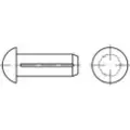 Toolcraft 1066882 Halvrundt rillet søm (Ø x L) 4 mm x 6 mm Rustfrit stål A2 100 stk