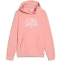 Puma Class Hettegenser