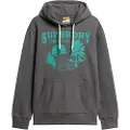 Superdry Lo-fi Outdoor Graphic Hettegenser