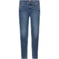 Tommy Hilfiger Dw0dw20652 Jeans
