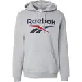 Reebok Identity Big Logo Hettegenser